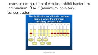Lowest concentration of Abx just inhibit bacterium
inmmedium  MIC (minimum inhibitory
concentration)
TONY SCARIA 2010 KMC
 