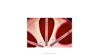 TONY SCARIA 2010 KMC
 