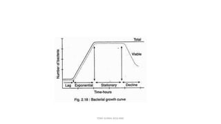 TONY SCARIA 2010 KMC
 