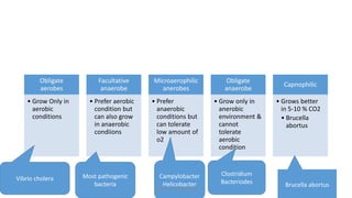 Obligate
aerobes
• Grow Only in
aerobic
conditions
Facultative
anaerobe
• Prefer aerobic
condition but
can also grow
in anaerobic
condiions
Microaerophilic
anerobes
• Prefer
anaerobic
conditions but
can tolerate
low amount of
o2
Obligate
anaerobe
• Grow only in
anerobic
environment &
cannot
tolerate
aerobic
condition
Capnophilic
• Grows better
in 5-10 % CO2
• Brucella
abortus
Vibrio cholera Most pathogenic
bacteria
Campylobacter
Helicobacter Brucella abortus
Clostridium
Bacteriodes
TONY SCARIA 2010 KMC
 