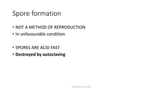 Spore formation
• NOT A METHOD OF REPRODUCTION
• In unfavourable condition
• SPORES ARE ACID FAST
• Destroyed by autoclaving
TONY SCARIA 2010 KMC
 