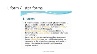 L form / lister forms
TONY SCARIA 2010 KMC
 