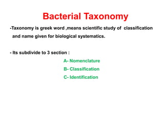 General bacteriology | PDF