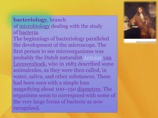 bacteriology, branch
of microbiology dealing with the study
of bacteria.
The beginnings of bacteriology paralleled
the development of the microscope. The
first person to see microorganisms was
probably the Dutch naturalist Antoine van
Leeuwenhoek, who in 1683 described some
animalcules, as they were then called, in
water, saliva, and other substances. These
had been seen with a simple lens
magnifying about 100–150 diameters. The
organisms seem to correspond with some of
the very large forms of bacteria as now
recognized.
 