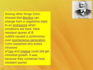 Among other things Cohn
showed that Bacillus can
change from a vegetative state
to an endospore when
conditions are hard. Heat
resistant spores of B.
subtilis caused a controversy
over spontaneous generation.
Cohn explained why boiled
infusions
of hay and cheese could still get
microbial growth. It was
because they contained heat
resistant spores
 