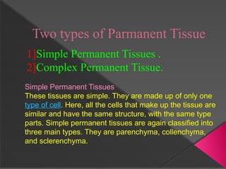 GENERAL BILOGY 1 - BIOLOGY PLANTS TISSUE PORTABLE DOCUMENT FORMAT.pdf