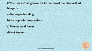 # The major driving force for formation of membrane lipid
bilayer is:
a) Hydrogen bonding
b) Hydrophobic interactions
c) Vander waal forces
d) Not known
www.dentaldevotee.com
 
