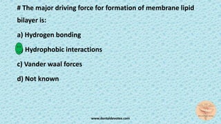 # The major driving force for formation of membrane lipid
bilayer is:
a) Hydrogen bonding
b) Hydrophobic interactions
c) Vander waal forces
d) Not known
www.dentaldevotee.com
 