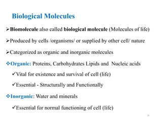 Biological Molecules
Biomolecule also called biological molecule (Molecules of life)
Produced by cells /organisms/ or supplied by other cell/ nature
Categorized as organic and inorganic molecules
Organic: Proteins, Carbohydrates Lipids and Nucleic acids
Vital for existence and survival of cell (life)
Essential - Structurally and Functionally
Inorganic: Water and minerals
Essential for normal functioning of cell (life)
18
 