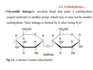 2.1. Carbohydrates…
22
• Glycosidic linkage/s: covalent bond that joins a carbohydrate
(sugar) molecule to another group, which may or may not be another
carbohydrate. Their linkage is formed by O after losing H2O
 