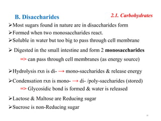 2.1. Carbohydrates
B. Disaccharides
Most sugars found in nature are in disaccharides form
Formed when two monosaccharides react.
Soluble in water but too big to pass through cell membrane
 Digested in the small intestine and form 2 monosaccharides
=> can pass through cell membranes (as energy source)
Hydrolysis rxn is di- → mono-saccharides & release energy
Condensation rxn is mono- → di- /poly-saccharides (stored)
=> Glycosidic bond is formed & water is released
Lactose & Maltose are Reducing sugar
Sucrose is non-Reducing sugar
28
 