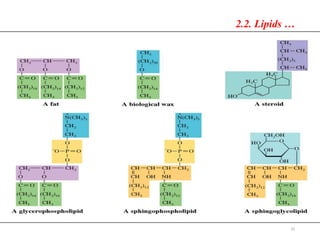 35
2.2. Lipids …
 