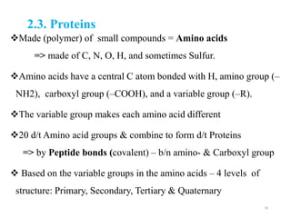 2.3. Proteins
Made (polymer) of small compounds = Amino acids
=> made of C, N, O, H, and sometimes Sulfur.
Amino acids have a central C atom bonded with H, amino group (–
NH2), carboxyl group (–COOH), and a variable group (–R).
The variable group makes each amino acid different
20 d/t Amino acid groups & combine to form d/t Proteins
=> by Peptide bonds (covalent) – b/n amino- & Carboxyl group
 Based on the variable groups in the amino acids – 4 levels of
structure: Primary, Secondary, Tertiary & Quaternary
39
 