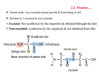 Basic structure of amino acid
2.3. Proteins…
40
 Amino acids: very essential normal growth & functioning of cell
 Divided in 2: essential & non-essential
 Essential: Not synthesize by the organism & obtained through the diet
 Non-essential: synthesize by the organism & not obtained from diet
 