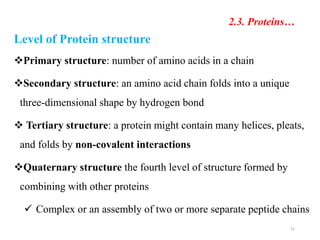 2.3. Proteins…
41
Level of Protein structure
Primary structure: number of amino acids in a chain
Secondary structure: an amino acid chain folds into a unique
three-dimensional shape by hydrogen bond
 Tertiary structure: a protein might contain many helices, pleats,
and folds by non-covalent interactions
Quaternary structure the fourth level of structure formed by
combining with other proteins
 Complex or an assembly of two or more separate peptide chains
 