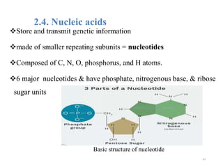 2.4. Nucleic acids
Store and transmit genetic information
made of smaller repeating subunits = nucleotides
Composed of C, N, O, phosphorus, and H atoms.
6 major nucleotides & have phosphate, nitrogenous base, & ribose
sugar units
Basic structure of nucleotide
43
 