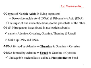 2.4. Nucleic acids…
2 types of Nucleic Acids in living organisms
= Deoxyribonucleic Acid (DNA) & Ribonucleic Acid (RNA).
The sugar of one nucleotide bonds to the phosphate of the other
5 d/t Nitrogenous bases found in nucleotide subunits
 namely Adenine, Cytosine, Guanine, Thymine & Uracil
 Make up DNA and RNA.
DNA formed by Adenine ═ Thymine & Guanine ≡ Cytosine
RNA formed by Adenine ═ Uracil & Guanine ≡ Cytosine
 Linkage b/n nucleotides is called a Phosphodiester bond
44
 