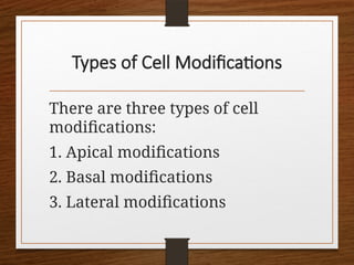 General Biology 1 - Lesson 5 CELL MODOFICATION.pptx