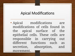General Biology 1 - Lesson 5 CELL MODOFICATION.pptx