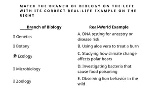 M A T C H T H E B R A N C H O F B I O L O G Y O N T H E L E F T
W I T H I T S C O R R E C T R E A L - L I F E E X A M P L E O N T H E
R I G H T
Branch of Biology Real-World Example
🧬 Genetics
A. DNA testing for ancestry or
disease risk
🌿 Botany B. Using aloe vera to treat a burn
🌍 Ecology
C. Studying how climate change
affects polar bears
🦠 Microbiology
D. Investigating bacteria that
cause food poisoning
🐾 Zoology
E. Observing lion behavior in the
wild
 