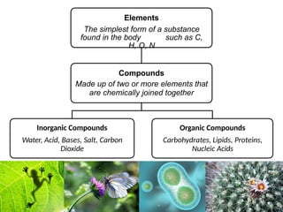 General Biology 1_Biological Molecules.pptx
