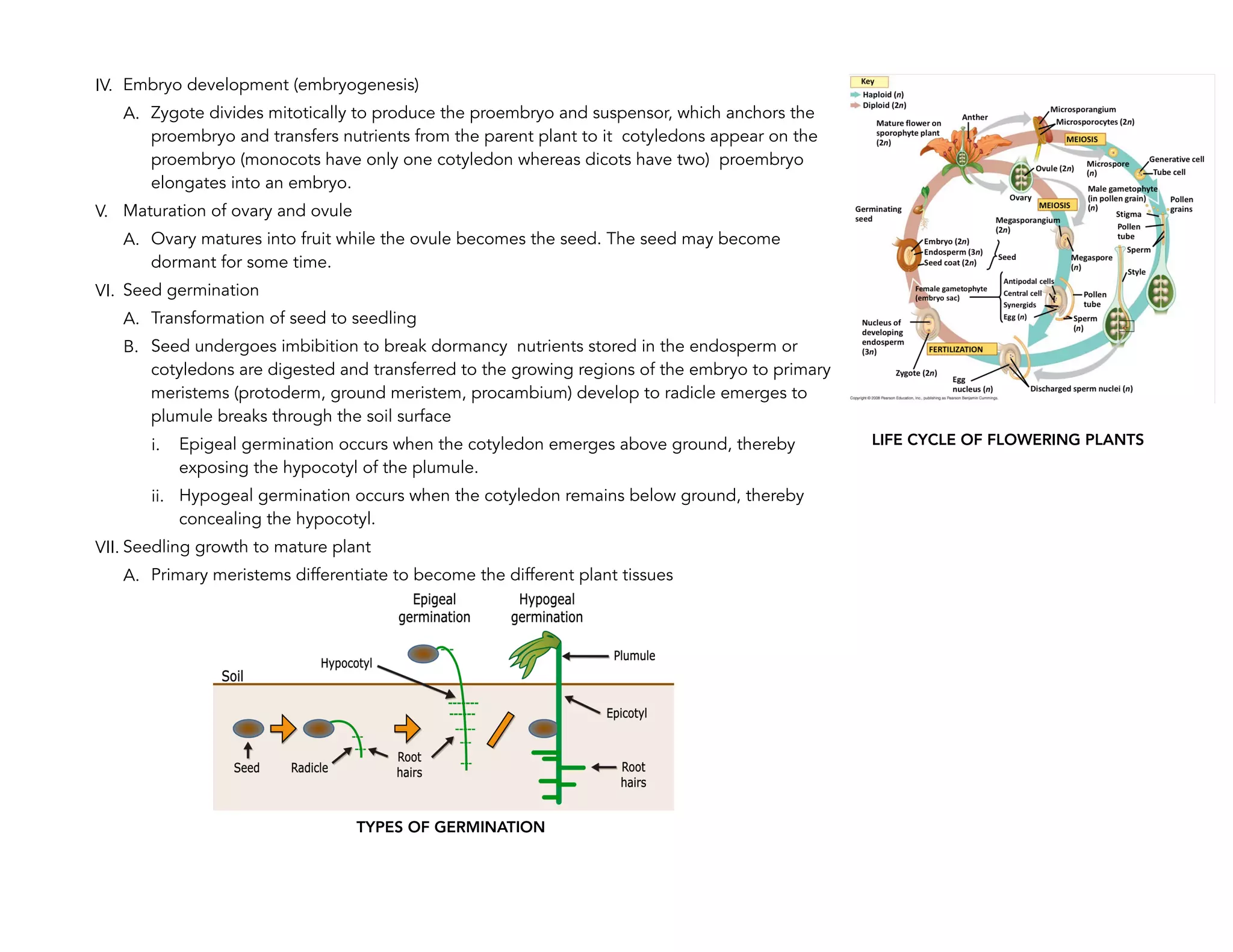 General biology 2 | PDF