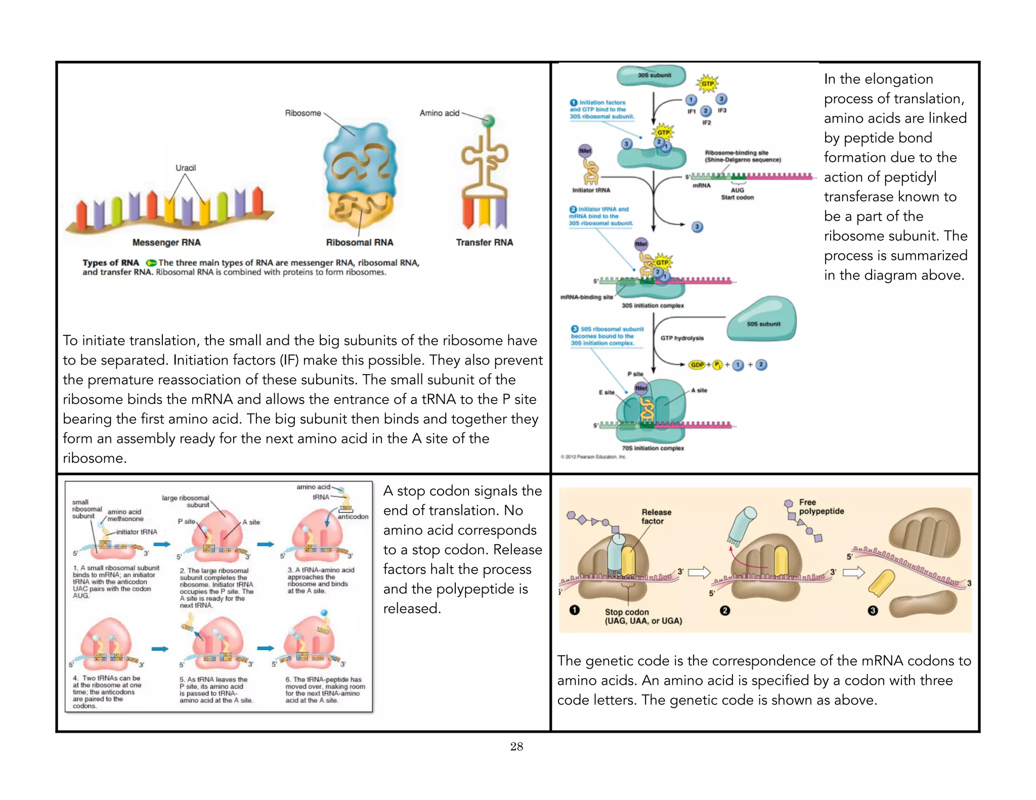 General biology 2 | PDF