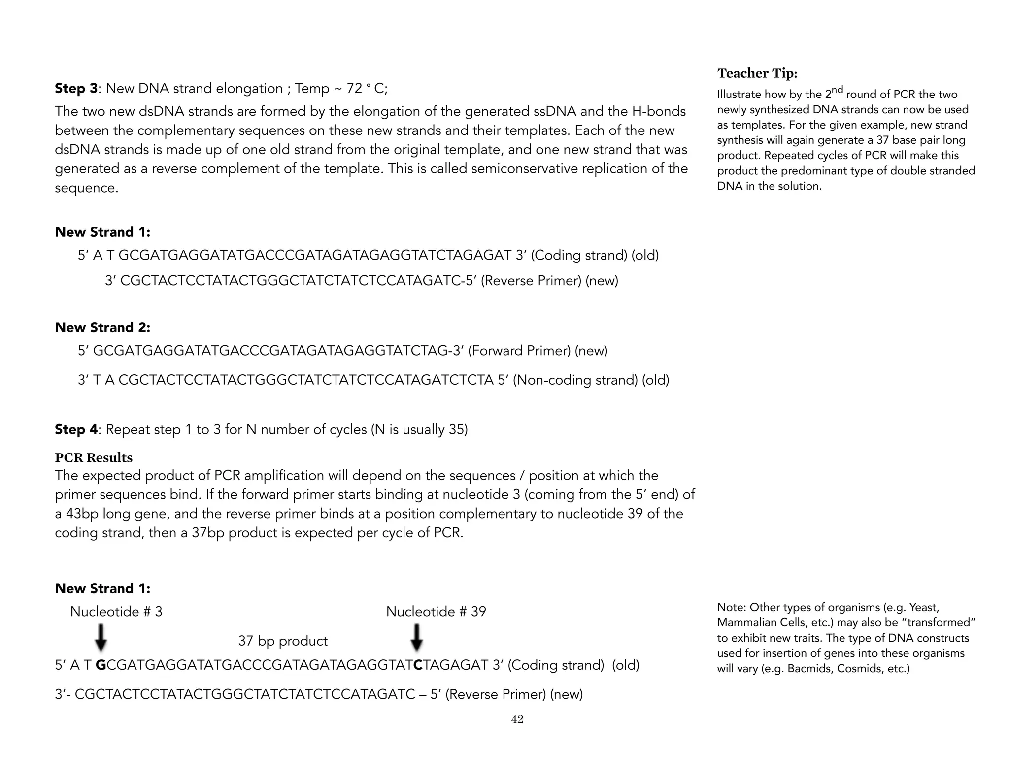 General Biology 2 for senior high school | PDF