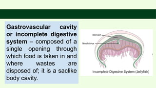 General Biology 2_Lecture 3_Q2.ppttttttttttttttttttttx | PPTX