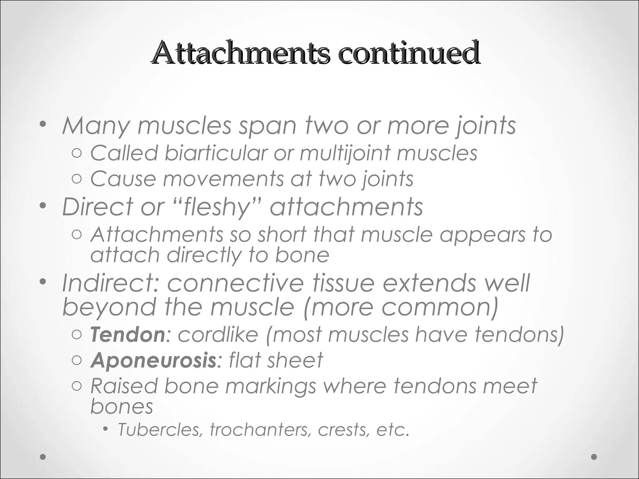 Attachments continuedAttachments continued
• Many muscles span two or more joints
o Called biarticular or multijoint muscles
o Cause movements at two joints
• Direct or “fleshy” attachments
o Attachments so short that muscle appears to
attach directly to bone
• Indirect: connective tissue extends well
beyond the muscle (more common)
o Tendon: cordlike (most muscles have tendons)
o Aponeurosis: flat sheet
o Raised bone markings where tendons meet
bones
• Tubercles, trochanters, crests, etc.
 