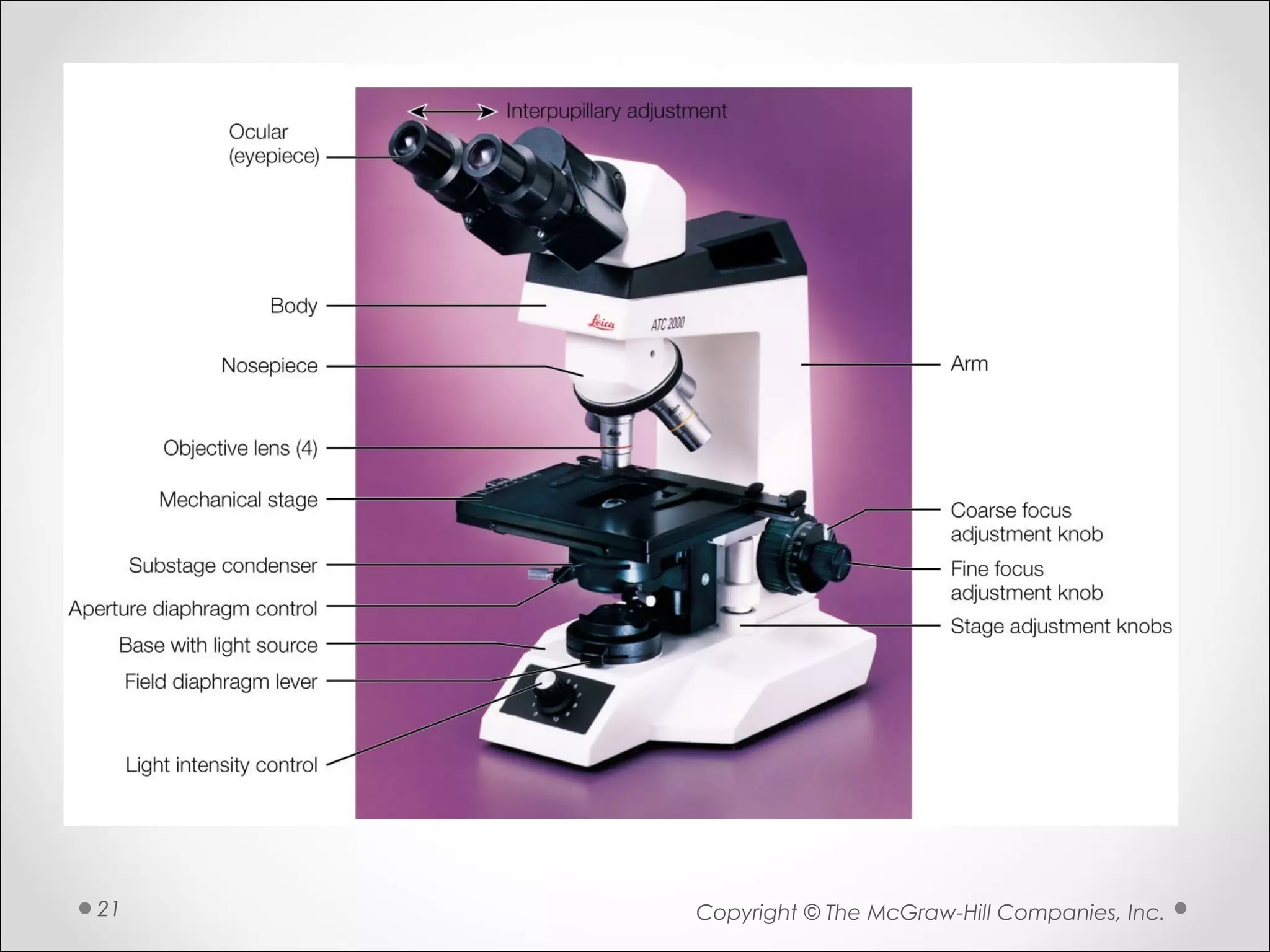 Copyright © The McGraw-Hill Companies, Inc.21
 