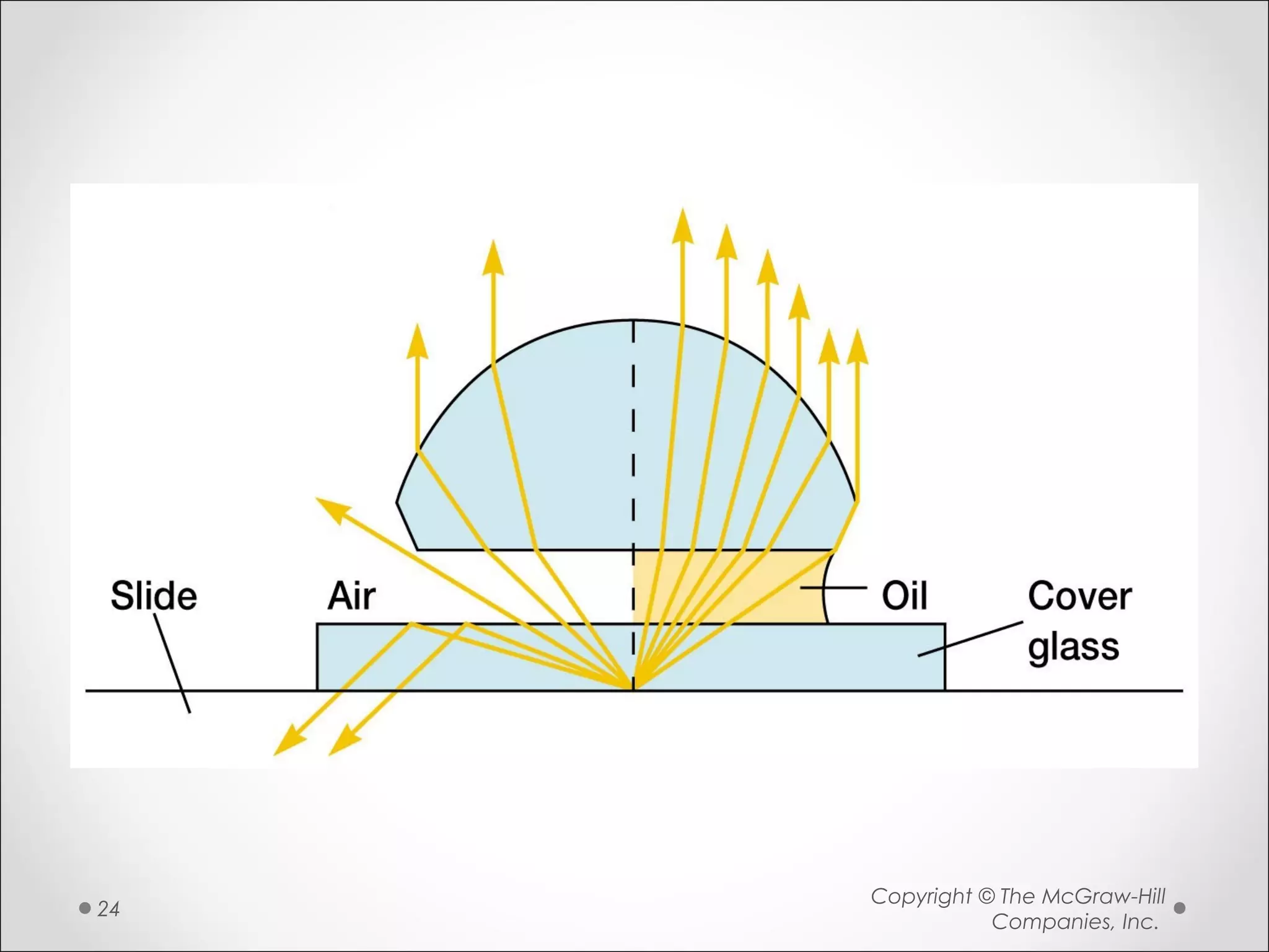 Copyright © The McGraw-Hill
Companies, Inc.
24
 