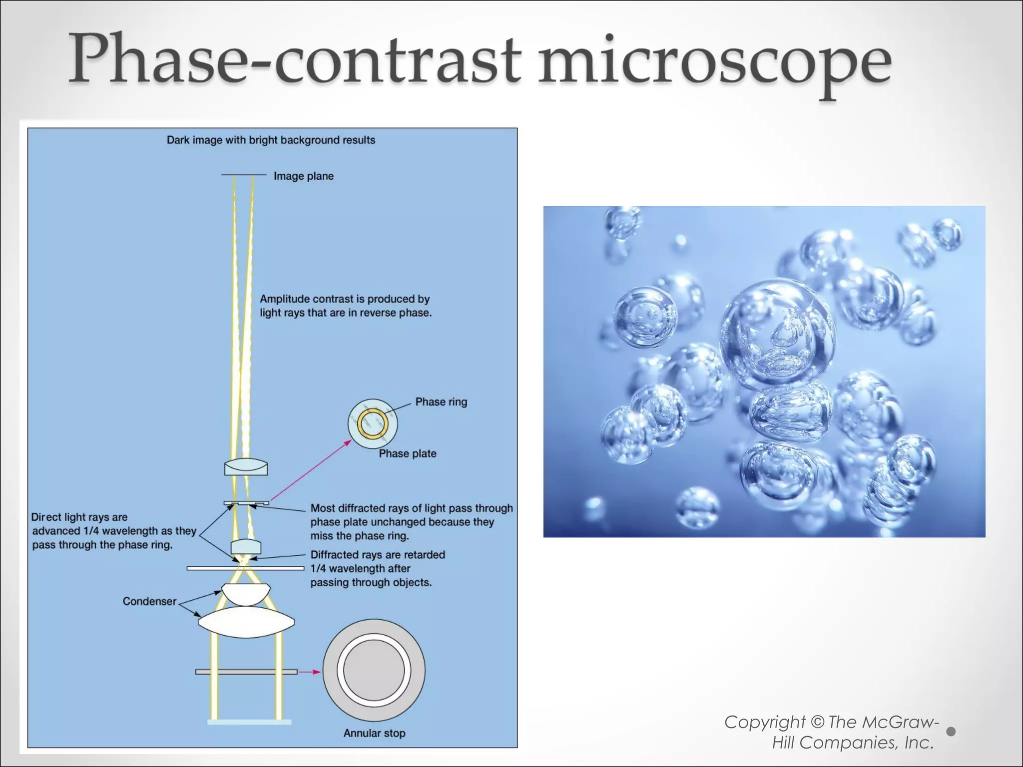 Copyright © The McGraw-
Hill Companies, Inc.
25
 