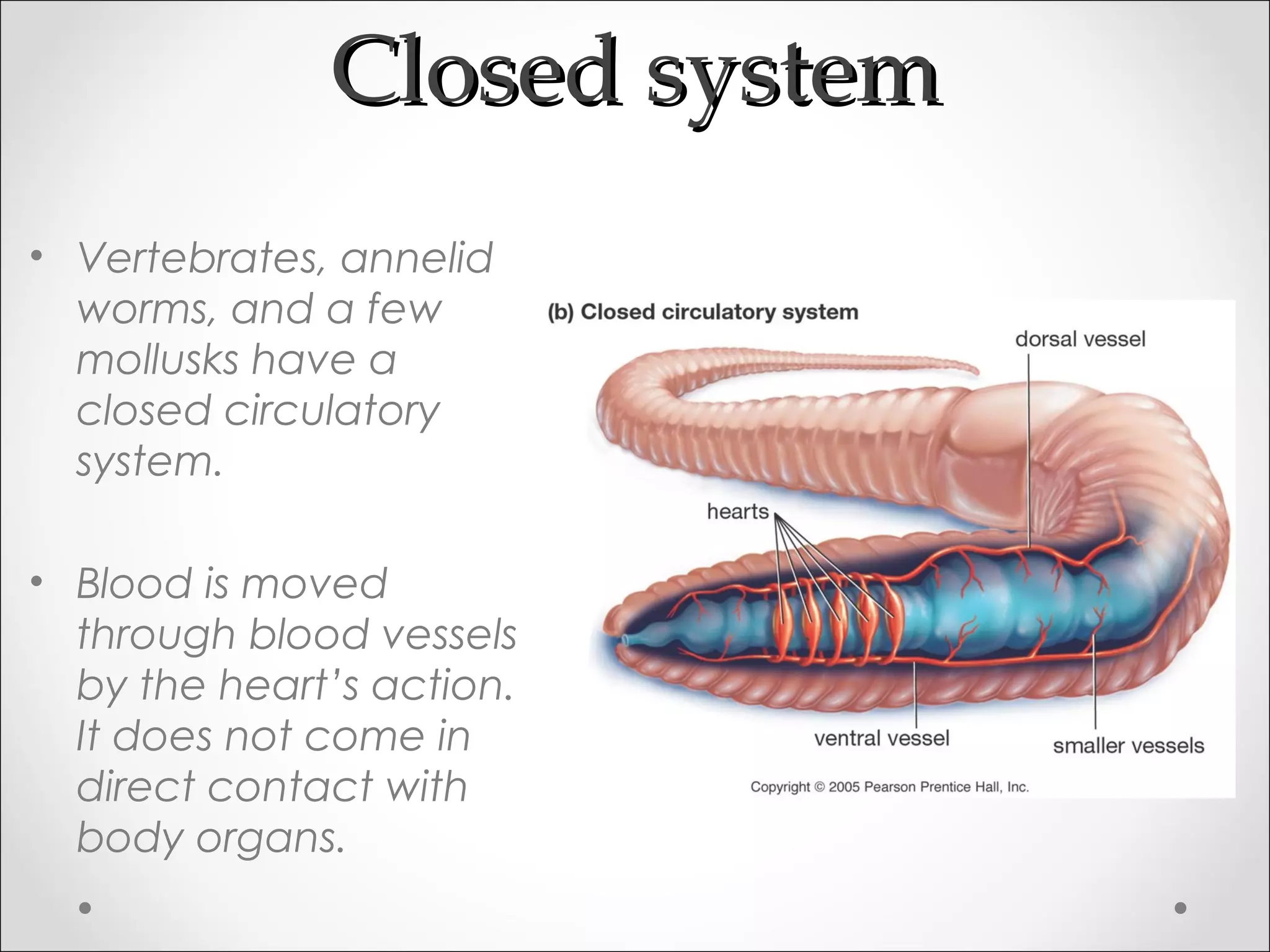 Closed systemClosed system
• Vertebrates, annelid
worms, and a few
mollusks have a
closed circulatory
system.
• Blood is moved
through blood vessels
by the heart’s action.
It does not come in
direct contact with
body organs.
 