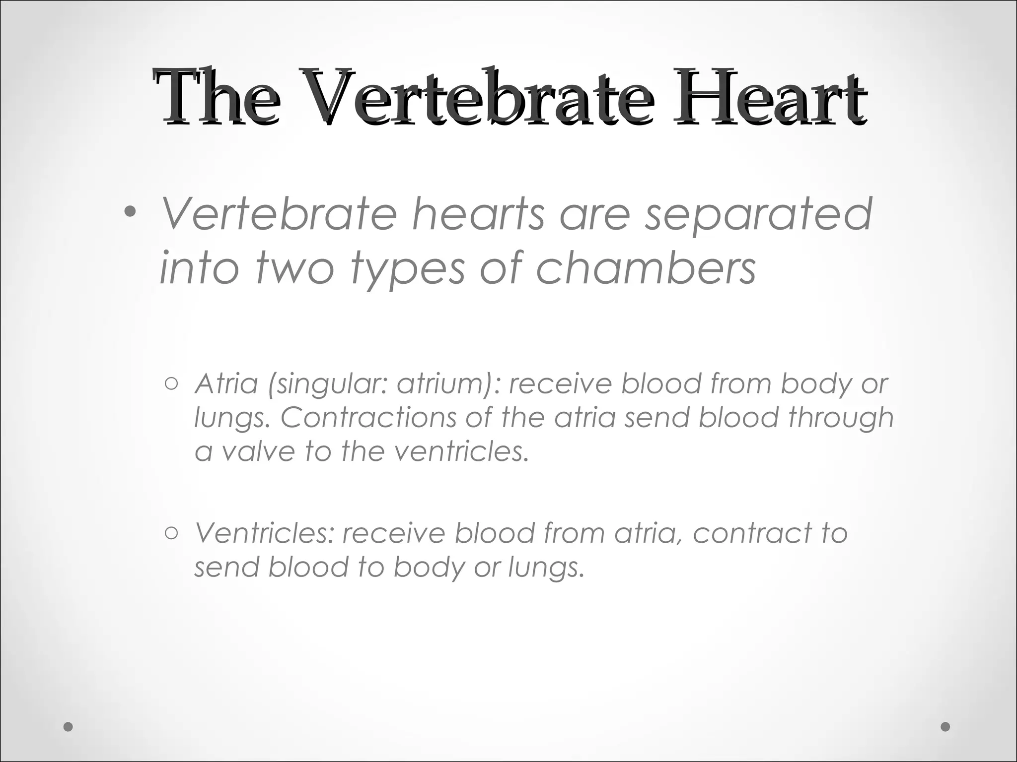 The Vertebrate HeartThe Vertebrate Heart
• Vertebrate hearts are separated
into two types of chambers
o Atria (singular: atrium): receive blood from body or
lungs. Contractions of the atria send blood through
a valve to the ventricles.
o Ventricles: receive blood from atria, contract to
send blood to body or lungs.
 