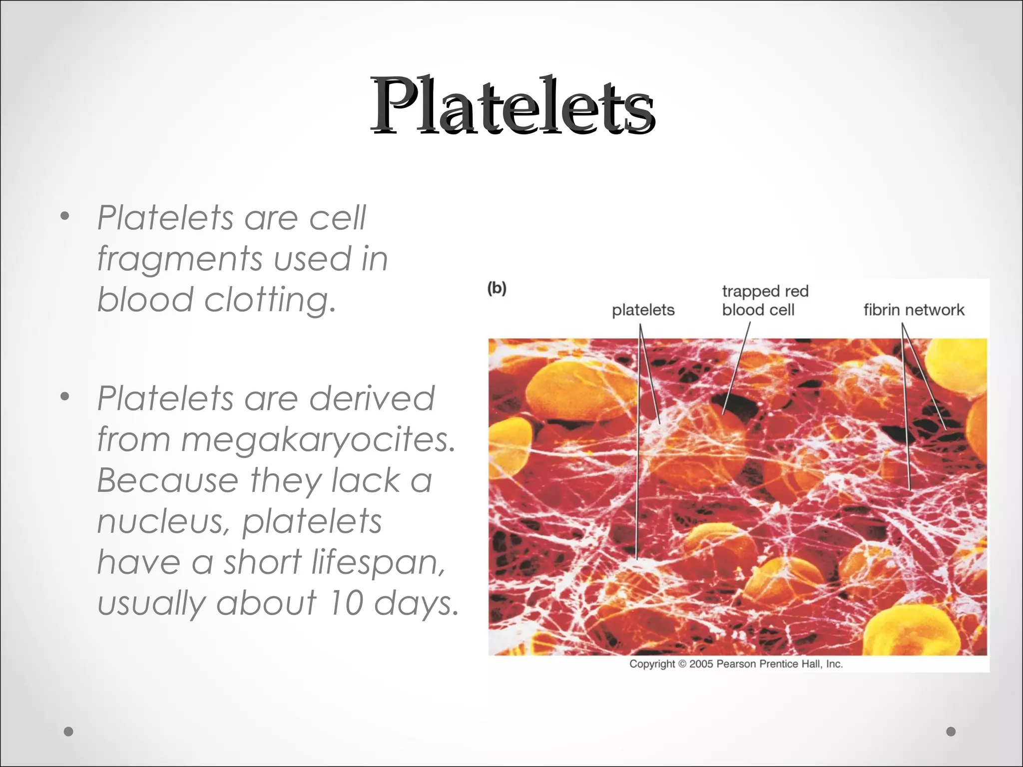 PlateletsPlatelets
• Platelets are cell
fragments used in
blood clotting.
• Platelets are derived
from megakaryocites.
Because they lack a
nucleus, platelets
have a short lifespan,
usually about 10 days.
 