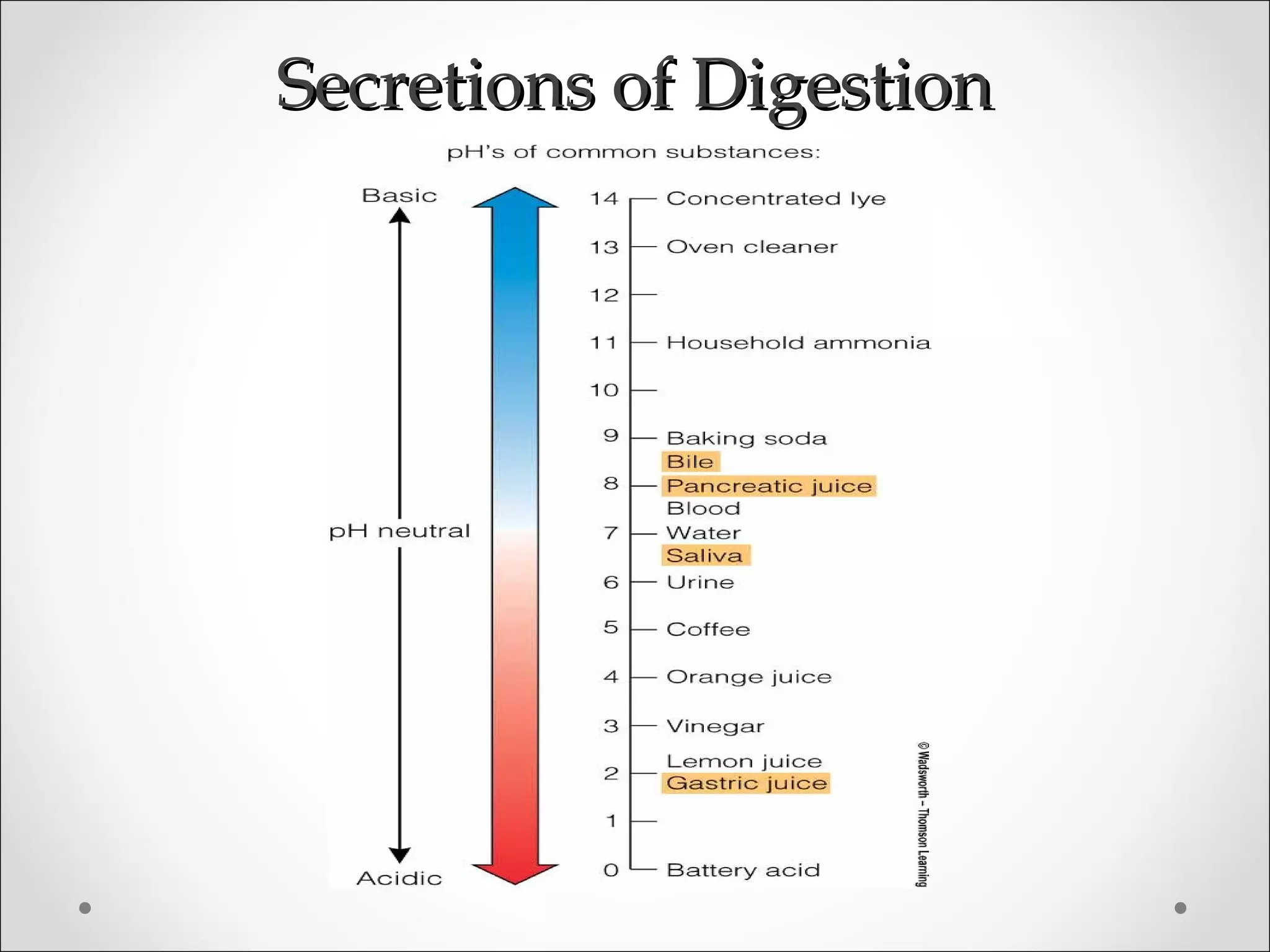 Secretions of DigestionSecretions of Digestion
 