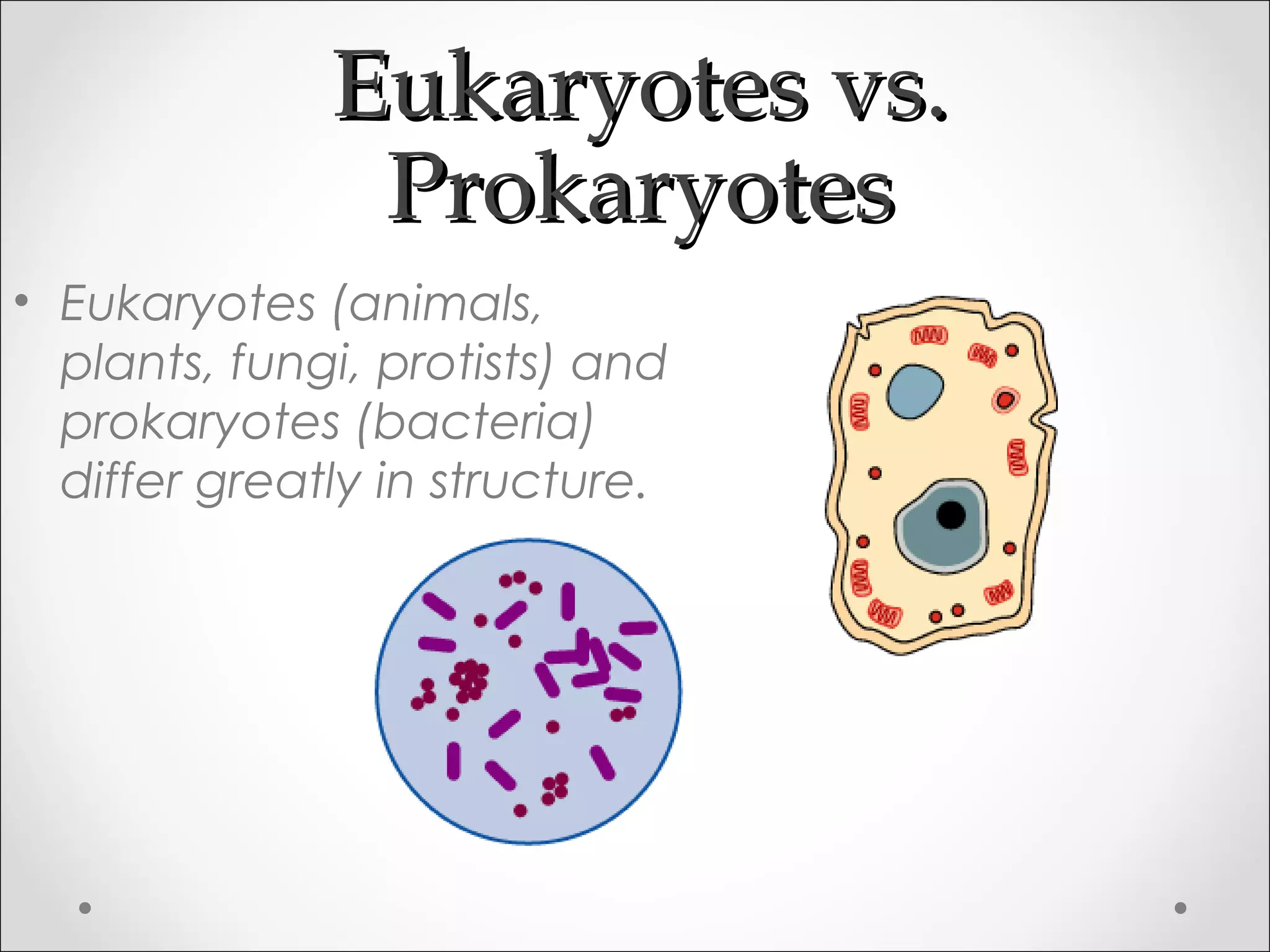 Eukaryotes vs.Eukaryotes vs.
ProkaryotesProkaryotes
• Eukaryotes (animals,
plants, fungi, protists) and
prokaryotes (bacteria)
differ greatly in structure.
 