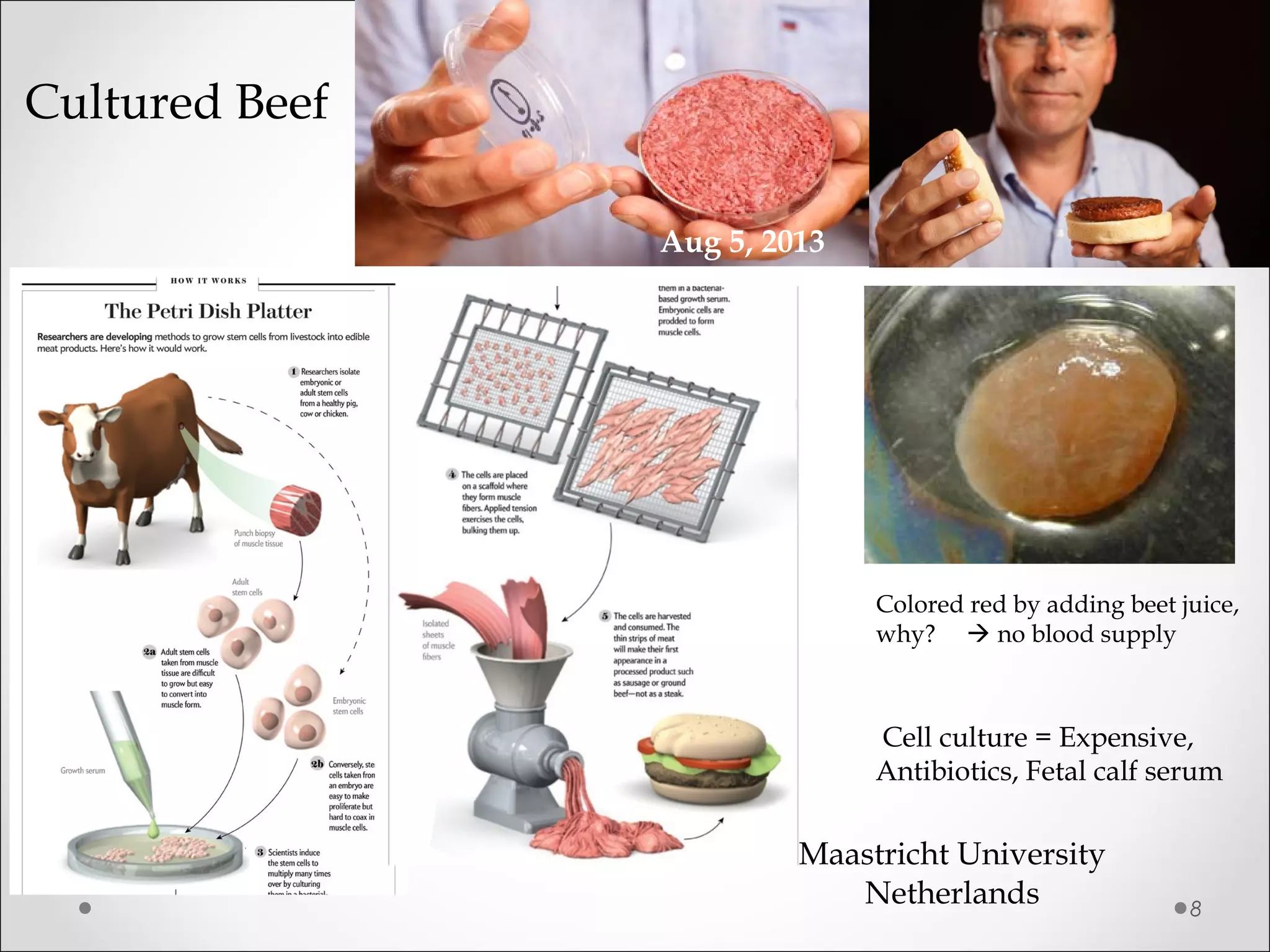 8
Aug 5, 2013
Cultured Beef
Cell culture = Expensive,
Antibiotics, Fetal calf serum
Colored red by adding beet juice,
why?  no blood supply
Maastricht University
Netherlands
 