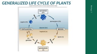 General Biology Lesson 10 Compare and Contrast Process in Plants and ...
