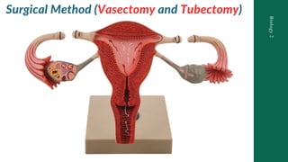 Tubesctomy Methods General Biology Lesson 9 Compare and Contrast Process in Plants and ...