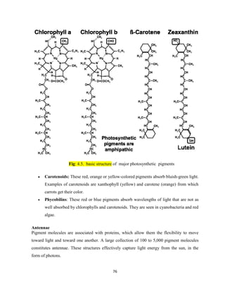 Xanthophyll Example GENERAL BIOLOGY module.pdf in all ethiopian university | PDF