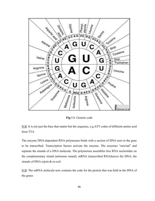GENERAL BIOLOGY module.pdf in all ethiopian university | PDF