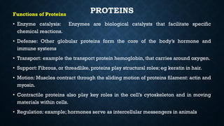 PROTEINS
Functions of Proteins
• Enzyme catalysis: Enzymes are biological catalysts that facilitate specific
chemical reactions.
• Defense: Other globular proteins form the core of the body’s hormone and
immune systems
• Transport: example the transport protein hemoglobin, that carries around oxygen.
• Support: Fibrous, or threadlike, proteins play structural roles; eg keratin in hair.
• Motion: Muscles contract through the sliding motion of proteins filament: actin and
myosin.
• Contractile proteins also play key roles in the cell’s cytoskeleton and in moving
materials within cells.
• Regulation: example; hormones serve as intercellular messengers in animals
 