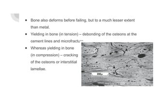 Lesser Multang Bone general biomechanics of musculoskeletal system | PPTX
