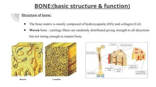 general biomechanics of musculoskeletal system | PPTX