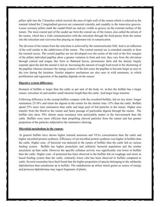 pillars split into the 2 branches which encircle the area of right wall of the rumen which is referred as the
ruminal inland the 2 longitudinal grooves are connected cranially and caudally to the transverse grooves.
Lesser coronary pillars mark the caudal blind sac and are visible as groove on the external surface of the
rumen. The most cranial part of the caudal sac form the cranial sac of the rumen, also called the atrium of
the rumen, which has a wide communication with the reticulum through the food passes from the rumen
into the reticulum and viceversa thus playing an important role in remastication.
The division of the rumen from the reticulum is achieved by the ruminoreticular fold. And is an inflection
of the wall similar to the subdivision of the rumen. The ventral ruminal sac is extended cranially to farm
the ruminal recess. The ruminl papillae are not developed over the centre of the roof or the free margins
of the pillars individual papillae show a greater variation in form and size: they vary from the eleviation
through conical and tongue like form to flattened leaves, prominence farm and the density largely
expends upon the diet the animal is fed on. Increasing the amount of rough food result in the shortening of
the papillae whereas increases the energy content of the diet cause the papillae to become larger as seen in
the cow during the lactaiton. Similar adaptive mechanism are also seen in wild ruminants, in which
proliferation and regression of the papillae depends on the season
Digestive system difference:
Stomach of buffalo is larger than the cattle as per unit of the body wt. in-fact the buffalo has a larger
rumen- reticulum wt and smaller small intestine length than the cattle. And larger large intestine
Following difference in the swamp buffalo compare with the crossbred buffalo, fed on rice straw: longer
rumination 25-38% and retain the digesta in the rumen for the shorter time -35% than the cattle. Buffalo
spend 53% more time rumination than cattle and large pool of fed particles in the rumen. Higher urea
transfer from the blood to the rumen and faster passage of particulate digesta through the rumen. The
buffalo also show 30% shorter mean resistance time particularly matter in the fore-stomach than the
cattle. Buffalo were more efficient than propelling chewed particles from the rumen and has greater
proportion of the particles subjected to the ruminative chewing.
Microbial metabolism in the rumen:
In general buffalo have shown higher ruminal ammonia and VFAs concentration than the cattle and
higher microbial protein synthesis. Efficiency of net micribial protein synthesis was higher in buffalo than
the cattle. Higher conc. of bacterial was detected in the rumen of buffalo than the cattle fed on various
feeding system. Buffalo has higher proteolytic and cellulytic bacterial population and the similar
amylolytic sp than cattle. However the specific cellulase activity was significantly was lower in buffalo
than the cattle. Higher conc. of protozoal has been observed in the buffalo fed on roughage and straw as
based feeding system than the cattle. contrarily lower cilia has been observed in buffalo compared to
cattle. Several researches have beef found that the higher proportion of species belonging to the subfamily
diplodiniinea than entodinium sp in buffalo. The endodonium sp utilize starch grains as source of energy
and protozoa diplodiniinae may ingest fragments of plants.
 