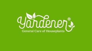 General Care of Houseplants
 