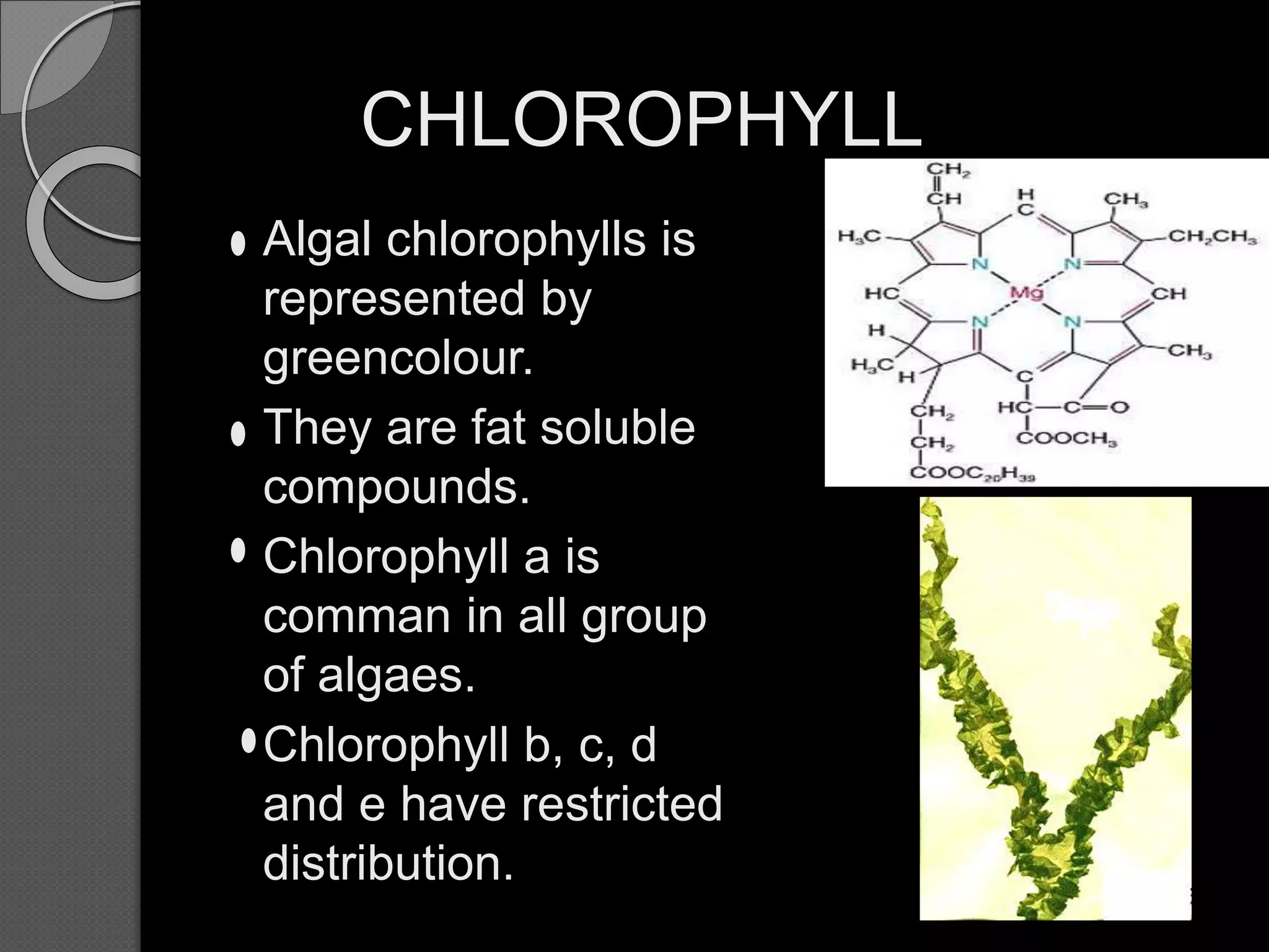 CHLOROPHYLL
Algal chlorophylls is
represented by
greencolour.
They are fat soluble
compounds.
Chlorophyll a is
comman in all group
of algaes.
Chlorophyll b, c, d
and e have restricted
distribution.
 