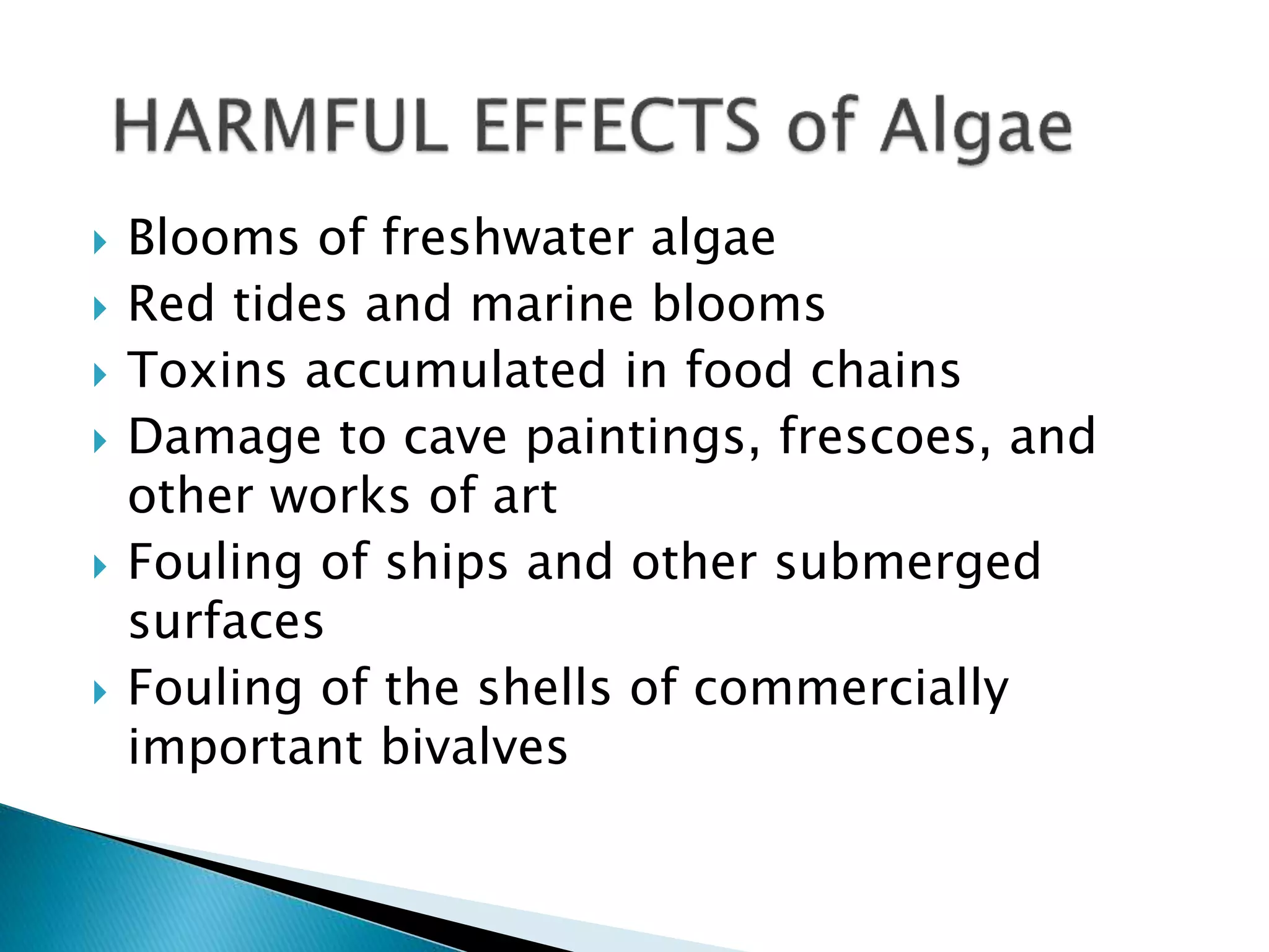  Blooms of freshwater algae
 Red tides and marine blooms
 Toxins accumulated in food chains
 Damage to cave paintings, frescoes, and
other works of art
 Fouling of ships and other submerged
surfaces
 Fouling of the shells of commercially
important bivalves
 
